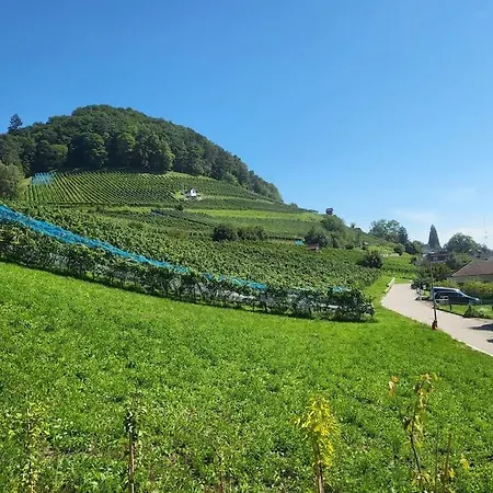 Schoene Einliegerwohnung 200M Vom Wasser Entfernt Stein Am Rhein Exterior photo